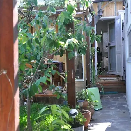 Beautiful Little & Garden