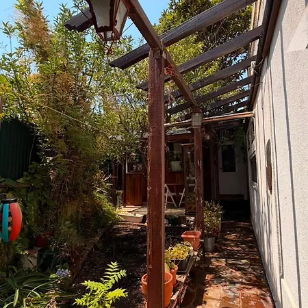 Beautiful Little & Garden